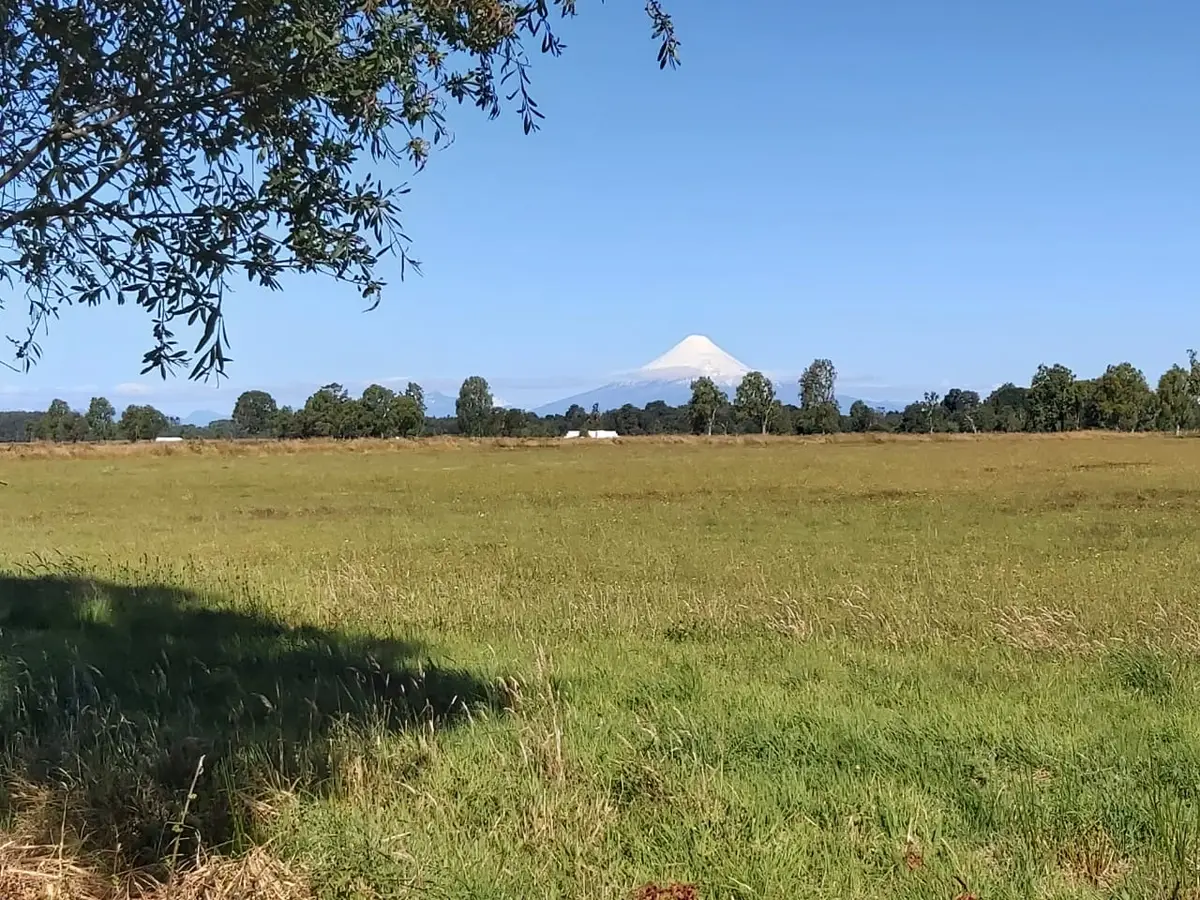 Parcelas Hitschfeld Vista 19